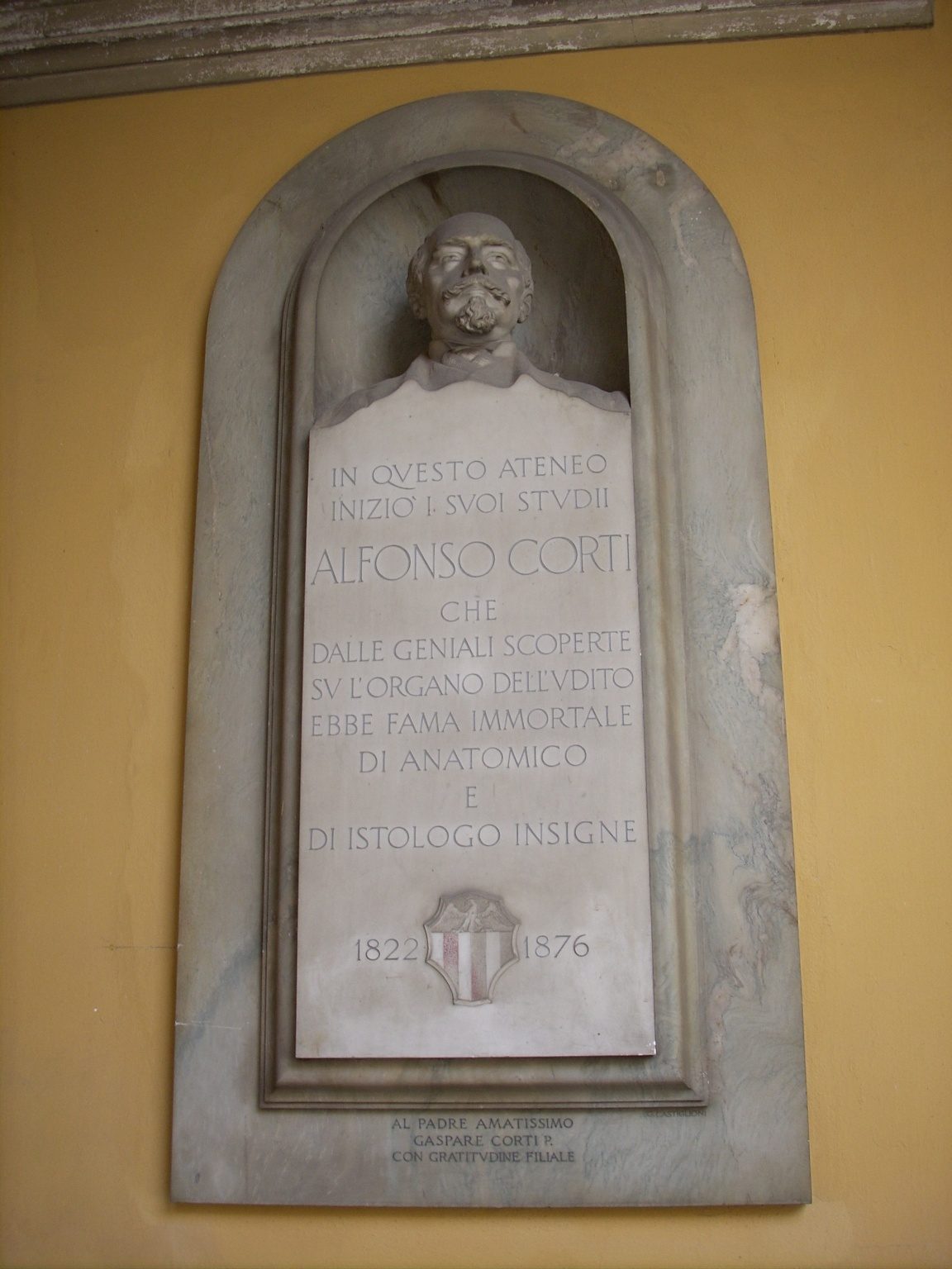 Alfonso Corti monument University Pavia - 01.jpg
